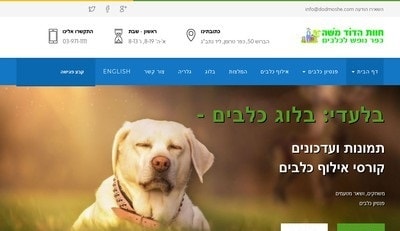 פנסיון לכלבים
